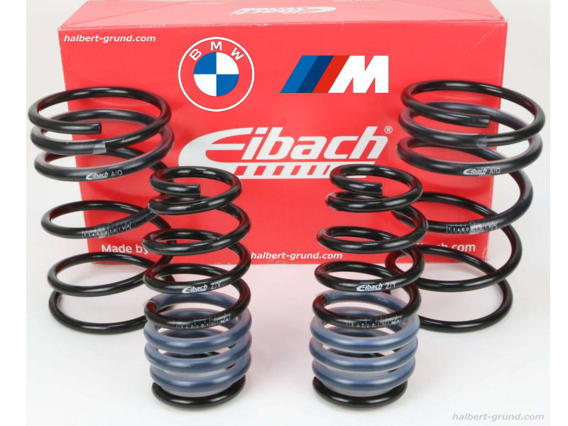 アイバッハ プロキット 10-20-049-08-22【正規輸入品】Eibach PRO-KIT