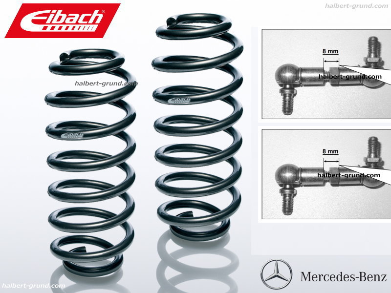 アイバッハ プロキット 10-25-022-02-22【正規輸入品】Eibach PRO-KIT