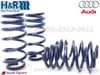��H&R Sport Springs��H&R ���ݡ��ĥ��ץ�󥰡å����ǥ� RS5 B10 ������ ����ȥ���Audi A5 FU RS5 Sedan�ۡ�����̵������Ź��ô��