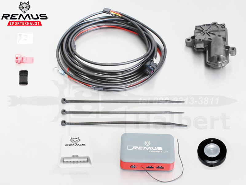 ������͢���ʡ�REMUS CAT BACK SYSTEM�ڥ�ॹ ���㥿�Хå������ƥ�ʿ��޸����򴹡˥ޥե顼 ��98 ���ȥ꡼�ȥ졼���åۥ�� ���ӥå� ������R FK8��HONDA CIVIC��STE 0005BT + 256017 5500 + 0036 98CR�ۡ�����̵������Ź��ô��