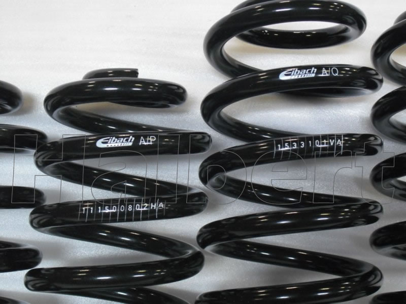 ����͢���ʡ�Eibach PRO-KIT�ۥ����Хå� �ץ����å� 10-15-008-05-22 �����륹�ץ�󥰡å����ǥ� A6 C6 ���Х�� 2WD 2.4��Audi A6 4F Avant 2.4�ۡ�10-15-008-05-22�ۡ�����̵������Ź��ô��