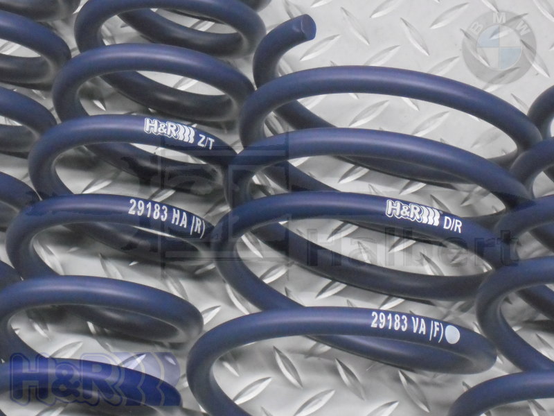 BMW e92用 H&R スポーツスプリング29187-1 H&R スプリング BMW Z4 E89 09〜 ダウン量：F/30 R/30 28987-1 : 輸入