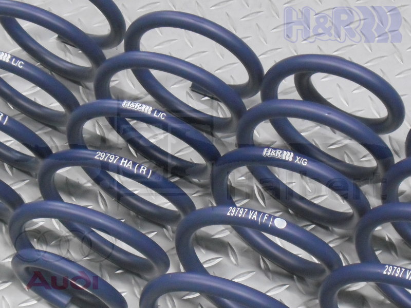��H&R Sport Springs�ۥ��ݡ��ĥ��ץ�󥰡å����ǥ� A6 ������ C5/4B��Audi S6�ۡ�29797-2�ۡ�����̵������Ź��ô��