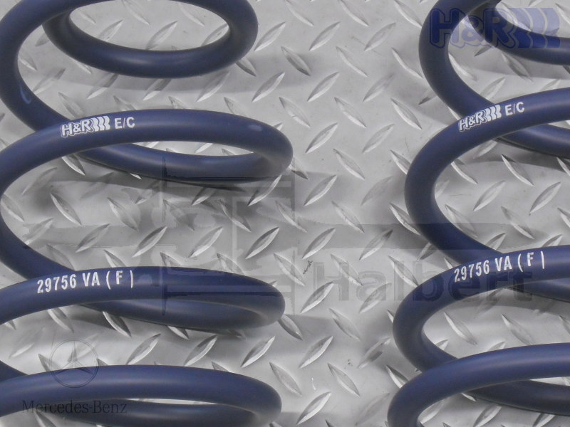 ��H&R Sport Springs��H&R ���ݡ��ĥ��ץ�� 29756-2�å�륻�ǥ��٥�� V���饹 W638 �ꥢ ���������ڥ󥷥��֡�Mercedes-Benz W638�ۡ�29756-2�ۡ�����̵������Ź��ô��