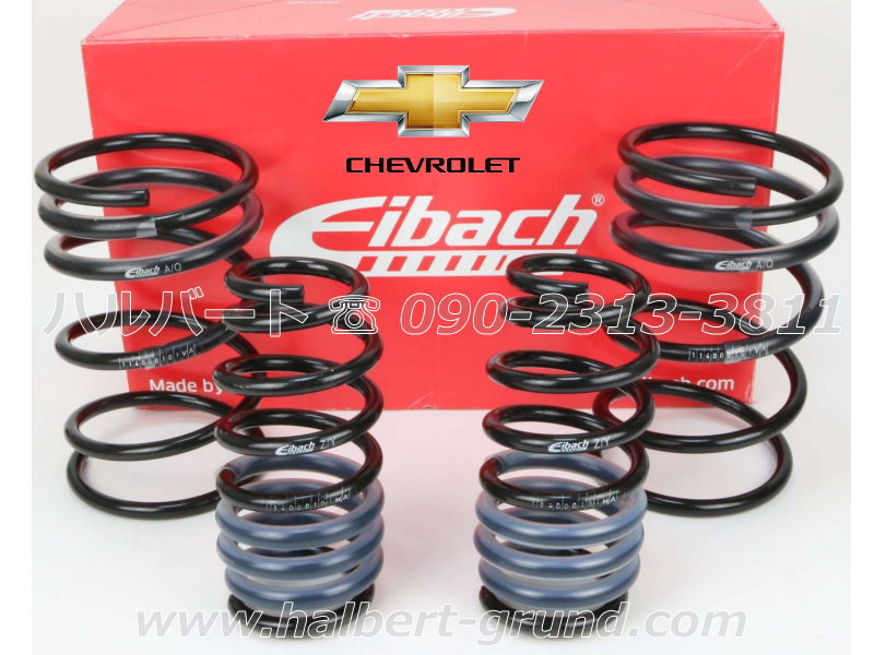 ������͢���ʡ�Eibach PRO-KIT�ڥ����Хå� �ץ����å� 10-23-036-01-22 �����ڥ󥷥�󥹥ץ�󥰡å��ܥ졼 ����٥å� C8��CHEVROLET CORVETTE C8��10-23-036-01-22�ۡ�����̵������Ź��ô��