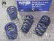 ��H&R Sport Springs��H&R ���ݡ��ĥ��ץ�󥰡�DS�����ȥ�ӥ륺 DS4 1.5 �ǥ������� ������� �֥롼HDi��DS AUTOMOBILES DS4 RIVOLI BlueHDi 130������̵������Ź��ô��