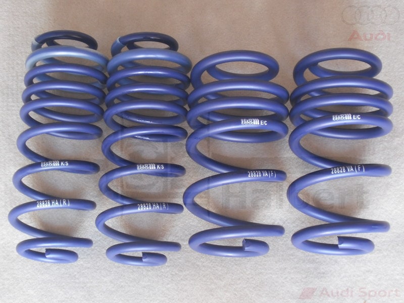 H&R ダウンサス 28828-1【H&R Sport Springs】スポーツスプリング