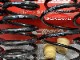 ������͢���ʡ�Eibach PRO-KIT�ڥ����Хå� �ץ����å� 10-15-021-16-22 �����ڥ󥷥�󥹥ץ�󥰡åե��륯������� �����8 �����ꥢ��� 1.0 eTSI �����ƥ��֡�Volkswagen Golf �� Variant��10-15-021-16-22�ۡ�����̵������Ź��ô��