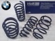 ��H&R Sport Springs�ۥ��ݡ��ĥ��ץ�󥰡�BMW X���꡼�� X4 G02 20d / 30i / M40i��28926-1�ۡ�����̵������Ź��ô��