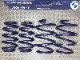 ��H&R Sport Springs��H&R ���ݡ��ĥ��ץ�� 28635-7��BMW X���꡼�� X1 U11 xDrive 20i��BMW U11 X1�ۡ�28635-7�ۡ�����̵������Ź��ô��