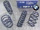 ��H&R Sport Springs��H&R ���ݡ��ĥ��ץ�� 28878-2��BMW 4���꡼�� ������ F32 435i / 440i��28878-2�ۡ�����̵������Ź��ô��