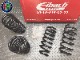 ������͢���ʡۡ�Eibach PRO-KI�ۥ����Хå� �ץ����å� 10-10-015-02-22 �����륹�ץ�󥰡å���ե����ᥪ ���ƥ������ Q4 2.0 / 2.2 �ǥ��������ALFA ROMEO STELVIO��10-10-015-02-22������̵������Ź��ô��