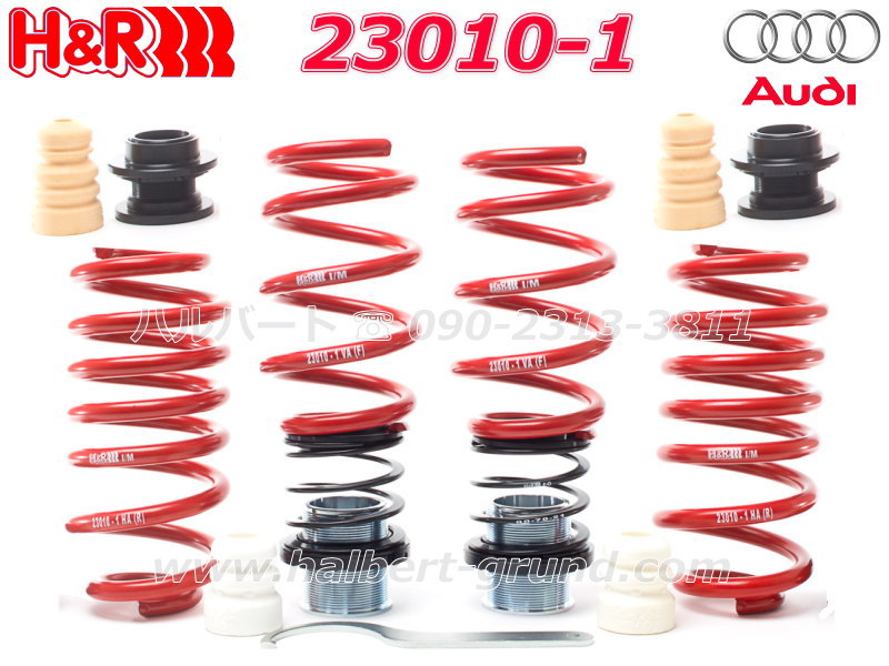 ��H&R Height adjustable springs�ۼֹ�Ĵ����ǽ�ե����㥹�ȥ��ץ�󥰡å����ǥ� SQ5 FY��Audi�ۡ�23010-1�ۡ�����̵������Ź��ô��