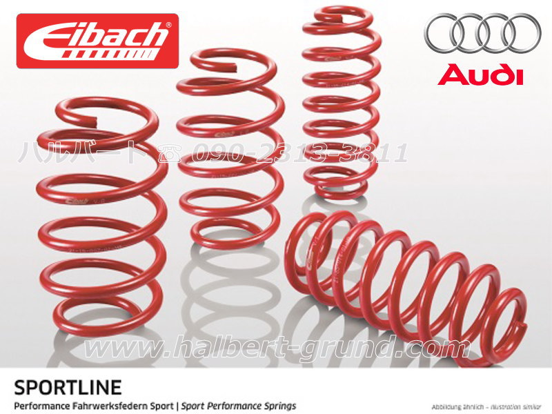 ����͢���ʡ�Eibach Sportline�ۥ����Хå� ���ݡ��ĥ饤�� 20-15-021-06-22 �����ڥ󥷥�󥹥ץ�󥰡å����ǥ� RS3 GY ���ݡ��ĥХå���Audi RS3 8Y�ۡ�20-15-021-06-22�ۡ�����̵������Ź��ô��