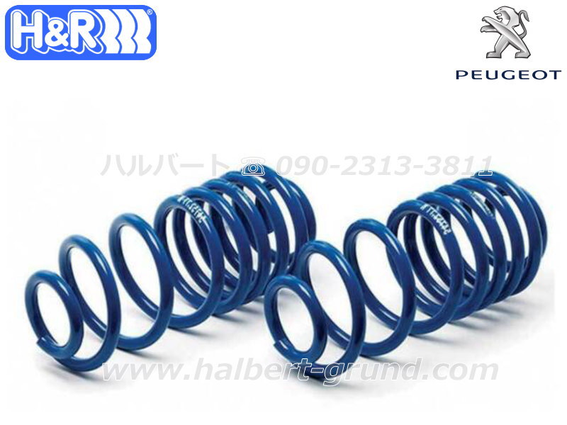��H&R Sport Springs��H&R ���ݡ��ĥ��ץ�� 29605-1�åץ��硼 205 �ϥå��Хå� & ���֥ꥪ�� 1.3 / 1.6 / 1.9��PEUGEOT�ۡ�29605-1�ۡ�����̵������Ź��ô��