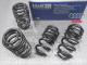 ��H&R Sport Springs��H&R ���ݡ��ĥ��ץ�� 29200-2�å����ǥ� A6 C6 ������ 4.2 8���� ����ȥ� & S6��Audi A6 4F2�ۡ�29200-2�ۡ�����̵������Ź��ô��