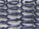 ��H&R Sport Springs��H&R ���ݡ��ĥ��ץ�� 28874-1�å�륻�ǥ��٥�� SL���饹 R231 SL350��Mercedes-Benz R231�ۡ�28874-1�ۡ�����̵������Ź��ô��