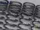 ��H&R Sport Springs��H&R ���ݡ��ĥ��ץ�� 29303-1�åե��顼�� 348 tb / ts / GTB / GTS / Spider��Ferrari 348�ۡ�29303-1�ۡ�����̵������Ź��ô��