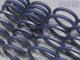 ��H&R Sport Springs��H&R ���ݡ��ĥ��ץ�� 29194-1�å��饤���顼 300C ������ 3.5 / 5.7HEMI ��٥饤���������֡�CHRYSLER 300C�ۡ�29194-1�ۡ�����̵������Ź��ô��