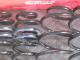 ������͢���ʡ�Eibach PRO-KIT�ڥ����Хå� �ץ����å� 10-20-034-01-22 �����륹�ץ�󥰡�BMW X���꡼�� X1 F48 sDrive18i 2WD��10-20-034-01-22�ۡ�����̵������Ź��ô��