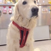 礭ʶƤǼ󡦥Υɤô¤ϡͥ