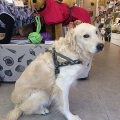 �����ñ�������åȥ������Ǻ��ȩ��ͥ�����ϡ��ͥ�