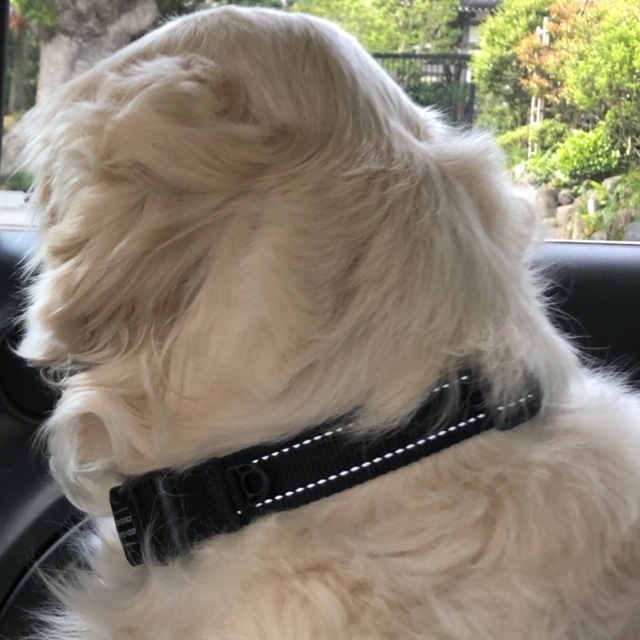 ���եȤ�ȩ����Υϡ��ե��硼������