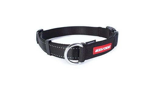 ���եȤ�ȩ����Υϡ��ե��硼������