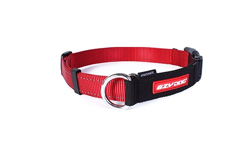 ���եȤ�ȩ����Υϡ��ե��硼������