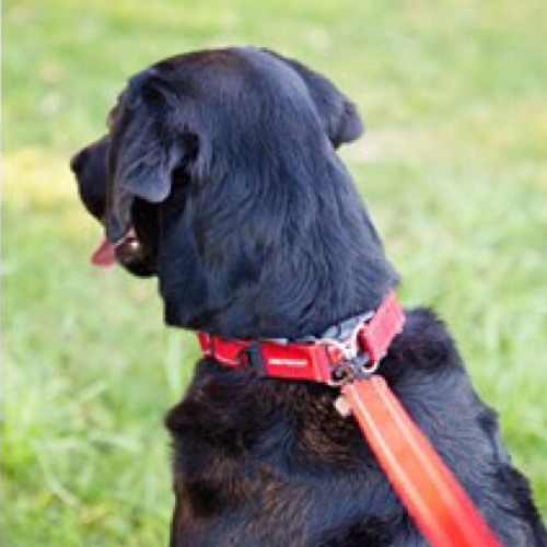 ���֥���å��ǰ¿��ΥХå������