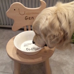 ��ȥ�С��βİ������饹�ȤΥա��ɥܡ���