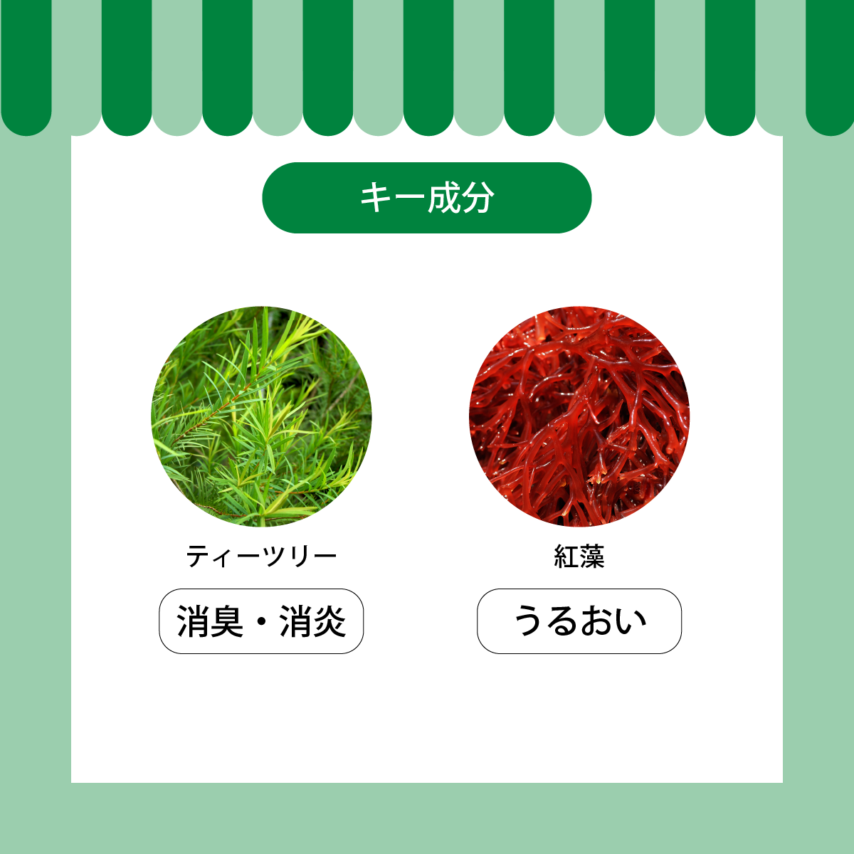 APDC �ƥ��ĥ꡼�����ס�500ml