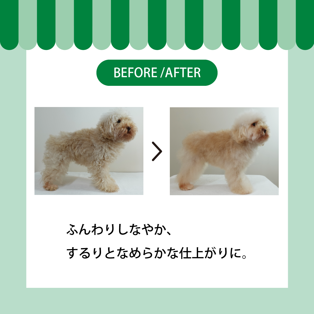 APDC �ƥ��ĥ꡼�����ס�500ml