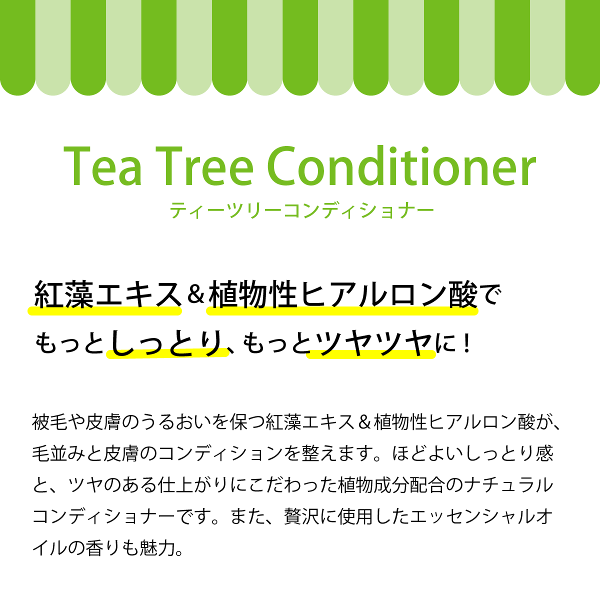 APDC �ƥ��ĥ꡼����ǥ�����ʡ�500ml