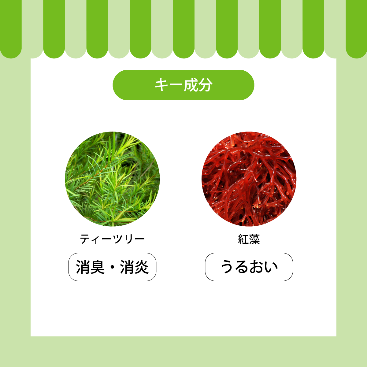 APDC �ƥ��ĥ꡼����ǥ�����ʡ�500ml