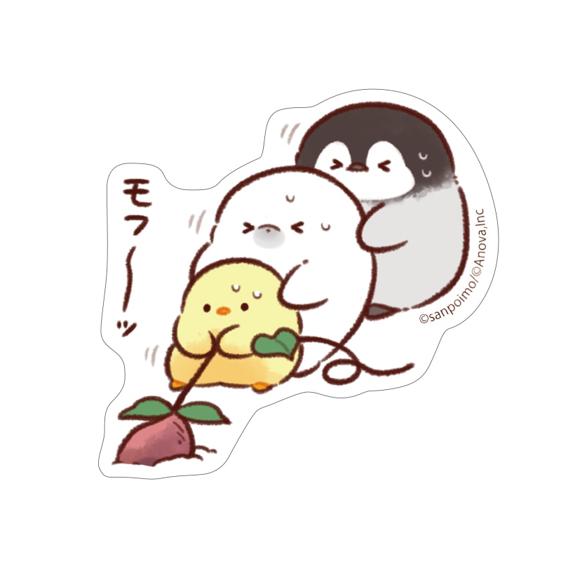 ��եԥ衡���ƥå������ʤ�����ۤ��