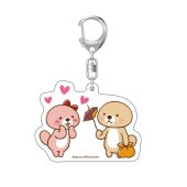 ͷ⡪å󡡥륭ۥʤߤ䤲