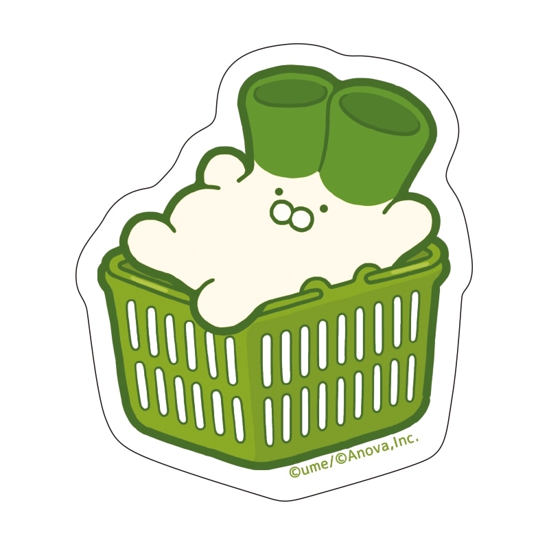 �ͥ������������ƥå����ʤ�����������