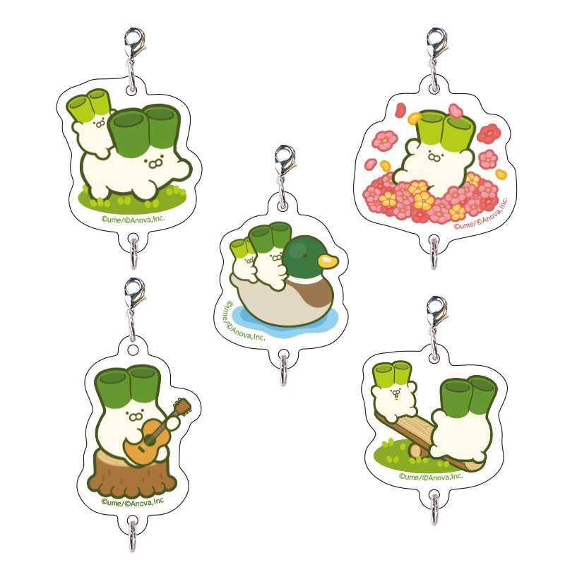 �ͥ����������֥饤��ɥ������Ϣ����㡼�����5���