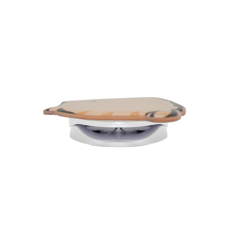 �ˤ�ͤ������ޥۥ���å�