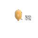 ʬĥåߤޡ⤰饳åޥåȥ