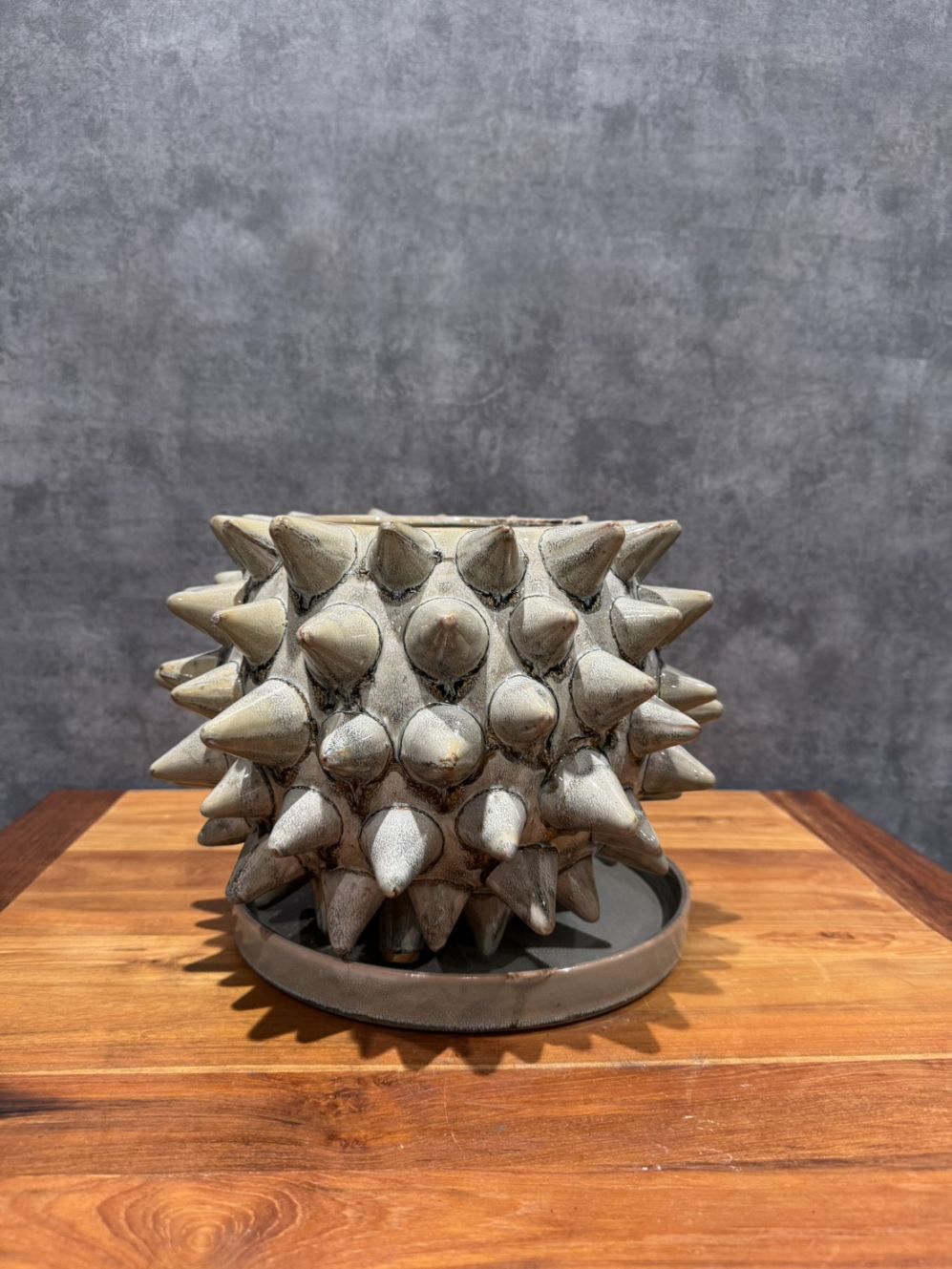 ソルトゲL　グレー