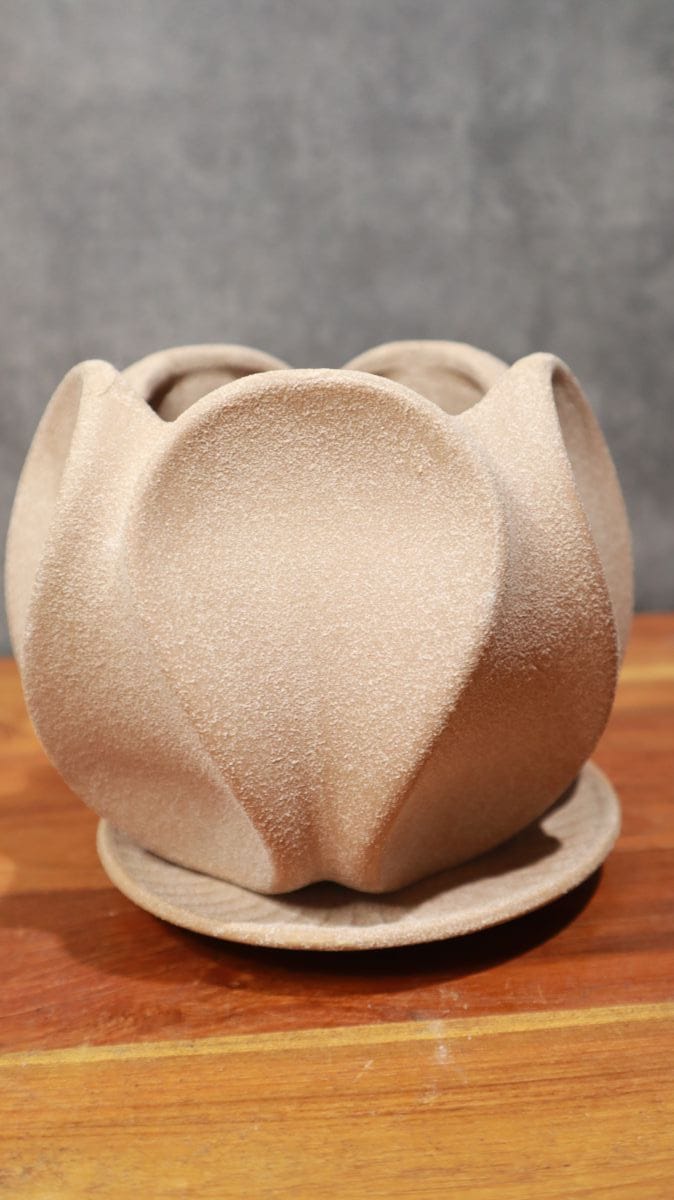 オンブル キャメル 14.5cm