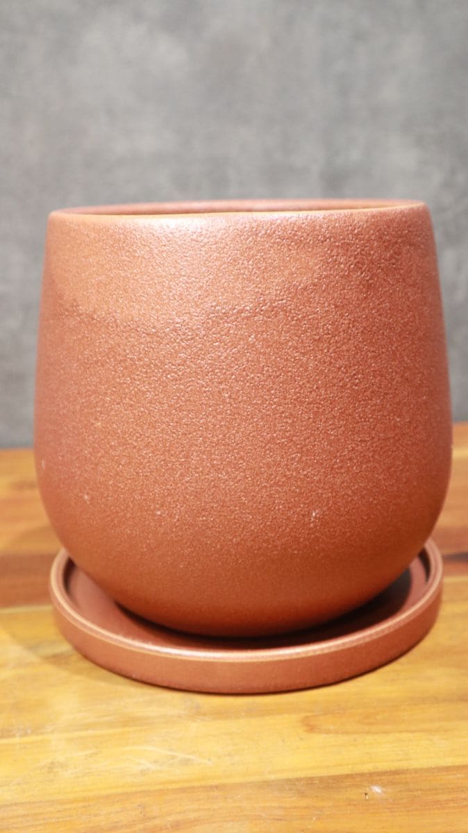 モルゾ エッグ レッド 17cm