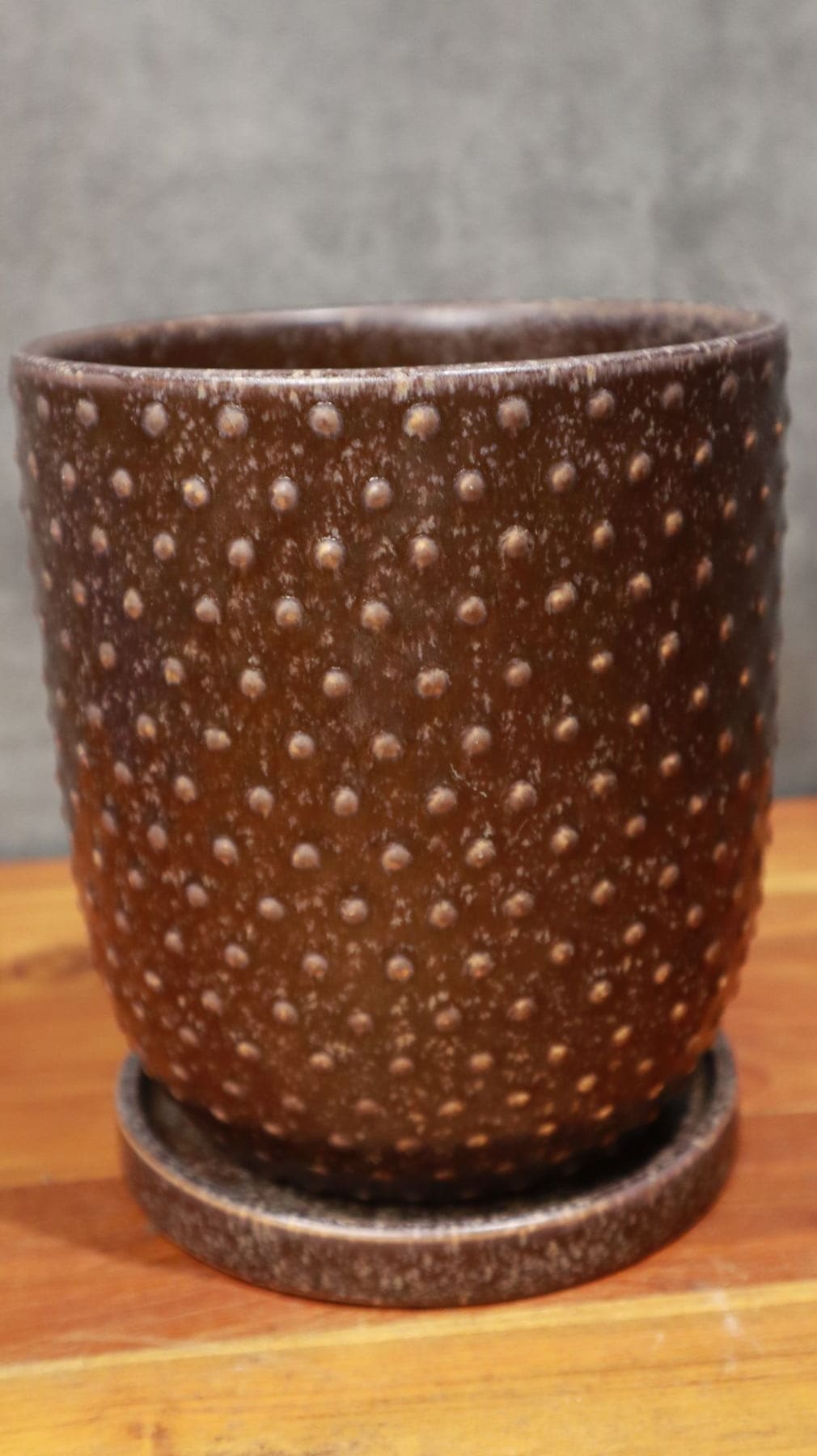 エイラ ブラウン 14cm