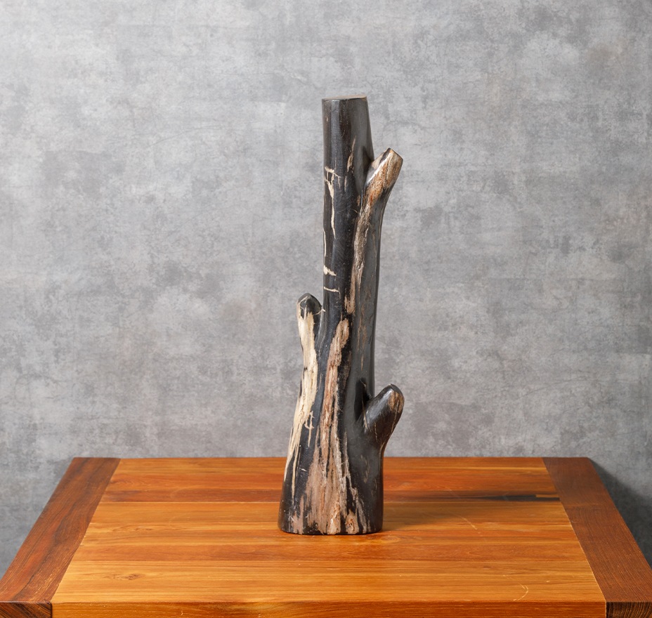 フォッシルツリー