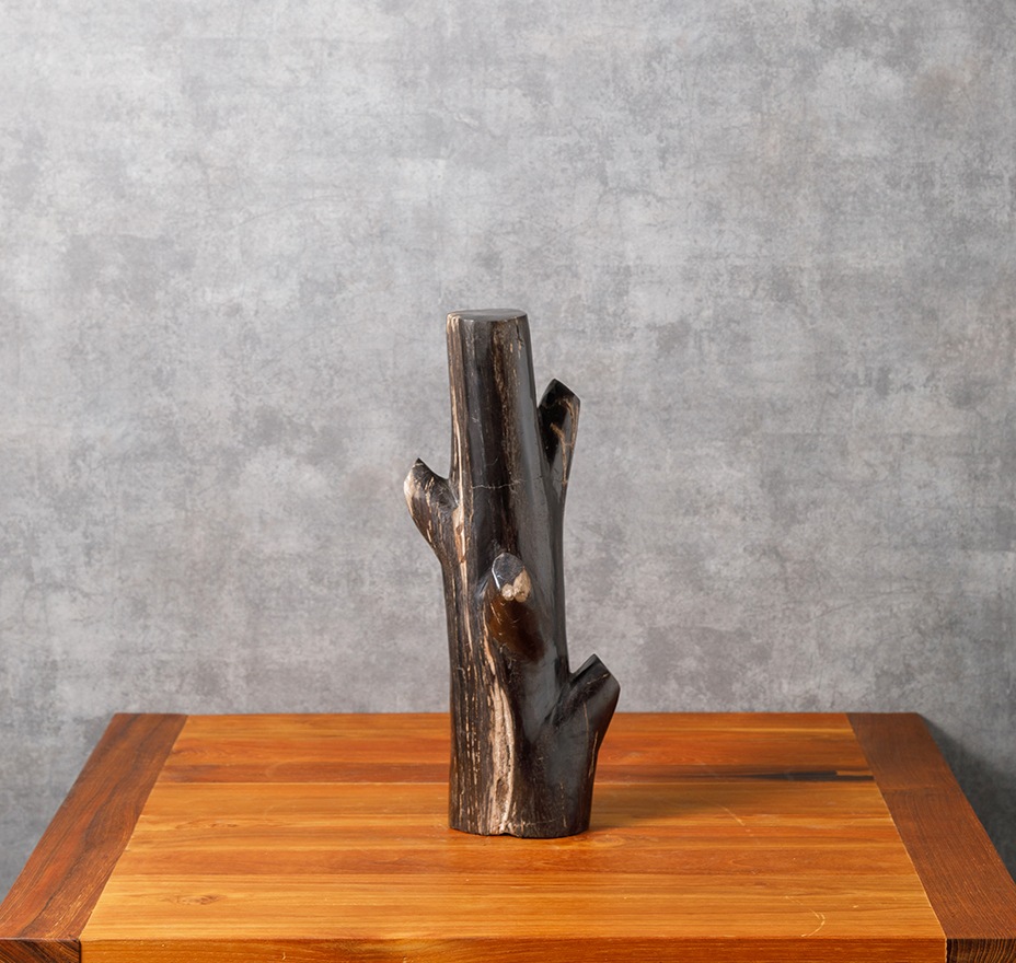 フォッシルツリー