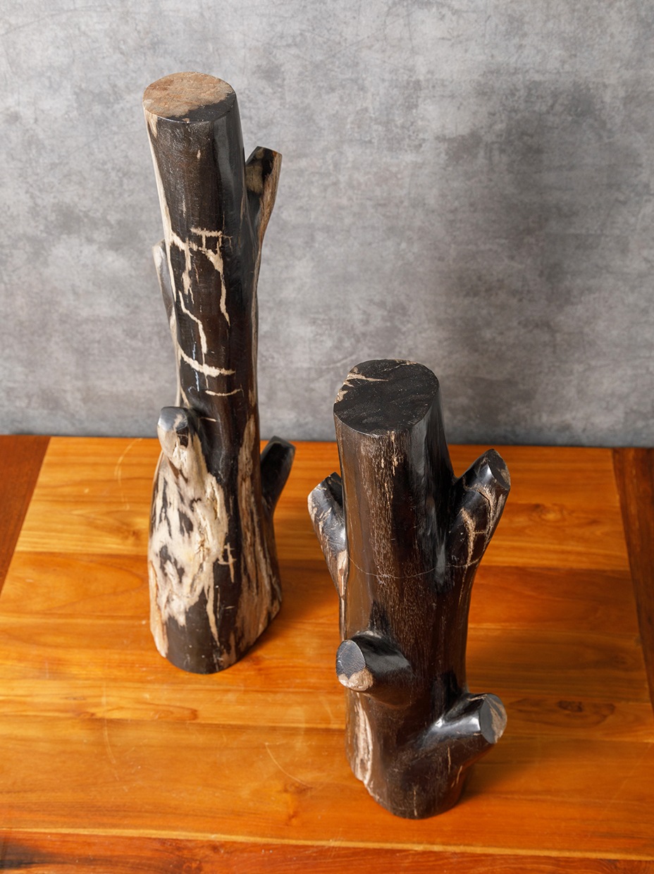 フォッシルツリー