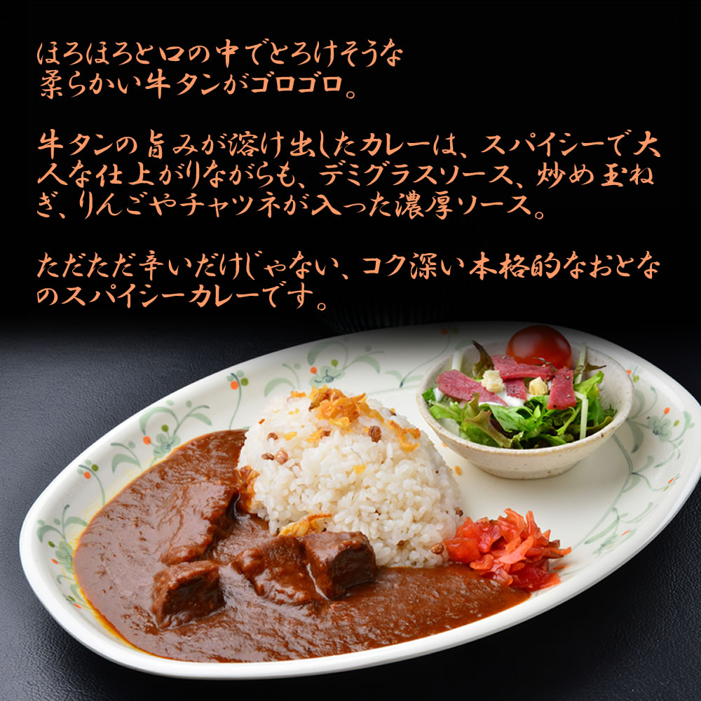【2等】牛タンシチュー＆おとなの牛タンカレー 200g  2点セット