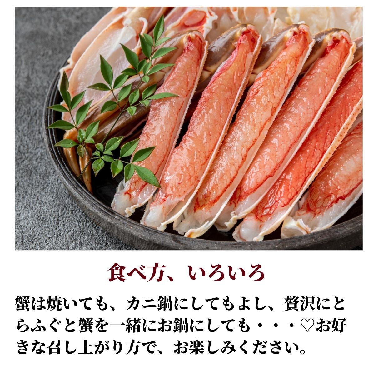 【国産とらふぐ×生ズワイガニ】 ふぐ蟹セット 数量限定